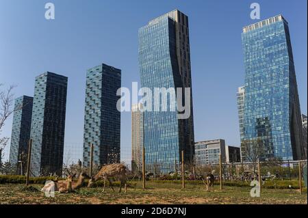 01.05.2013, Seoul, Incheon, South Korea - City view of New Songdo City in Central Park and the international business district with modern residential Stock Photo