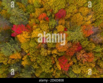 White Mountain National Forest top view with fall foliage, Town of Sanbornton, New Hampshire NH, USA. Stock Photo