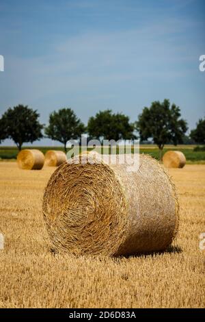 06.08.2020, Linnich, North Rhine-Westphalia, Germany - Bales of straw are lying on the stubble field after the grain harvest. 00X200806D033CAROEX.JPG Stock Photo