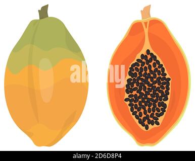 Whole and half papaya. Tropical fruit in cartoon style. Stock Vector