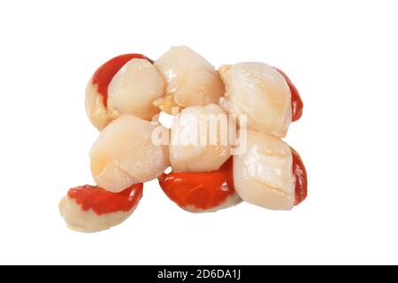several raw scallops isolated on a white background Stock Photo