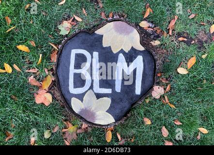 BLM for Black Lives Matter on a tree disc in a front yard of Evanston, a suburb of Chicago, Illinois, USA Stock Photo