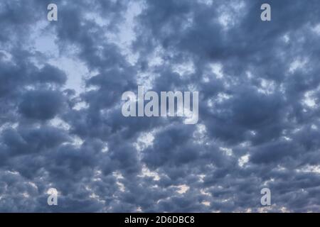 Dramatic evening cloudscape with altocumulus clouds Stock Photo