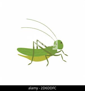 Cartoon funny cricket. Vector illustration isolated on white background. Stock Vector