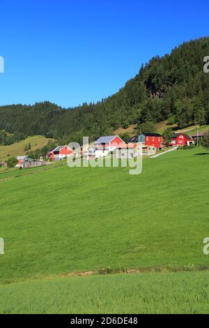 Farmlands and pastures in Norway. Agricultural area in the region of Sunnfjord municipality (Vestland county). Stock Photo