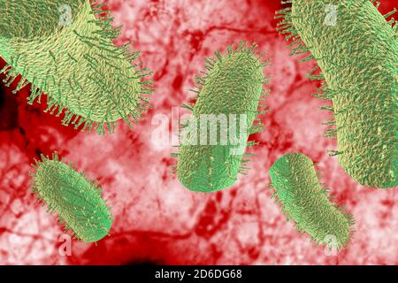 Pink rabies virus microscopic cells with pink background 3D Illustration