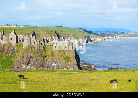 Dunluce Castle, one of the largest ruins of a medieval castle in Ireland, is located on a basalt rock on the rugged north coast of the island, between the towns of Portballintrae and Portrush in County Antrim Stock Photo