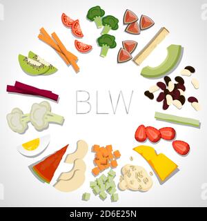 BLW baby led weaning products vegetables, fruits, cereals, bread, eggs, legumes in circle on white background Stock Vector