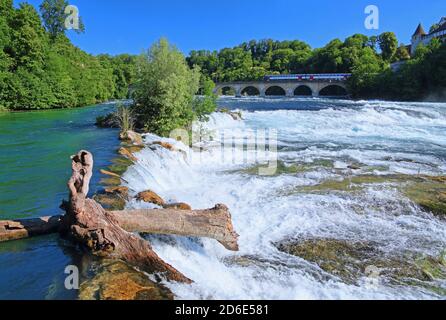 Rhine Falls near Schaffhausen, Neuhausen am Rheinfall, Rhine, Rhine Valley, Canton Schaffhausen, Switzerland Stock Photo