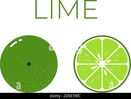 Vector of lime and sliced half of lime on white background Stock Vector