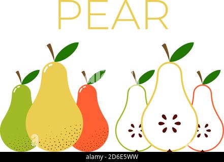 Vector of Pear and sliced half of Pear on white background Stock Vector