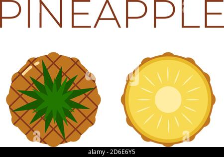 Vector of Pineapple, Ananas and sliced half of Pineapple, Ananas on white background Stock Vector