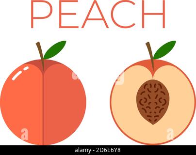 Vector of Peach and sliced half of Peach on white background Stock Vector