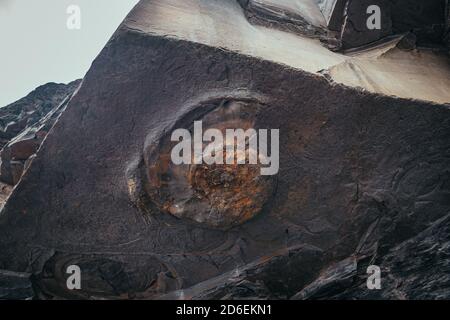 Closeup on amonite shell contained in a rock of jurassic cliff in Kimmeridge Bay, prehistoric rocks containing dolomitic limestone and Fossils Stock Photo