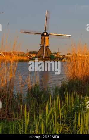 Windmill at sunrise, Kinderdijk, UNESCO World Heritage Site, South Holland, Netherlands Stock Photo