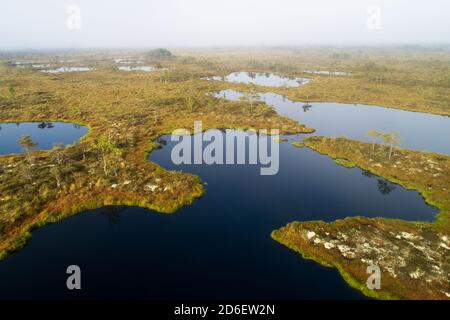 Soomaa National Park. Aerial view of bog lakes in Kuresoo bog during foggy sunrise in summer in Estonian nature, Northern Europe. Stock Photo