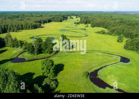 Soomaa National Park. Aerial view of summery lush and sunny Mulgi wooded meadow in Estonian nature, Northern Europe. Stock Photo