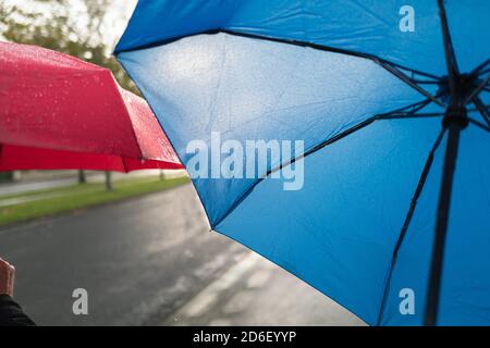Two umbrellas, one red and one blue being used on a wet tree lined street. Shallow focus Stock Photo