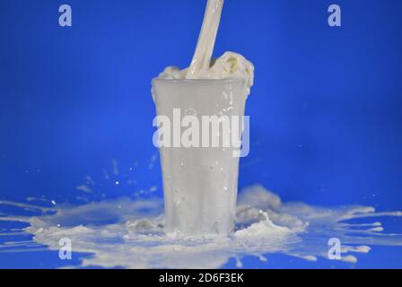 Shot of splashing milk from a cup Stock Photo