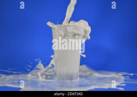 Shot of splashing milk from a cup Stock Photo