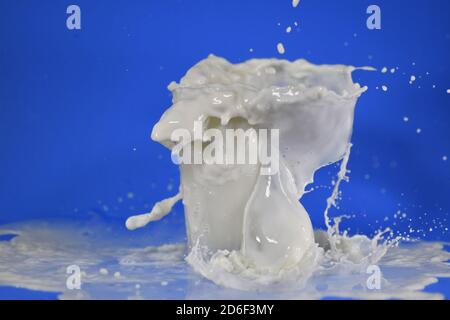 Shot of splashing milk from a cup Stock Photo