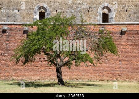 San Galgano abbey ruins, exterior view, Chiusdino municipality, Siena province, Tuscany, Italy Stock Photo