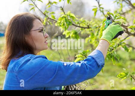 Spring pruning garden, woman with garden scissors pruning on fruit trees Stock Photo