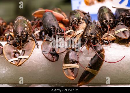 sale of lobster on an ice stall at the halles de Valencia Stock Photo