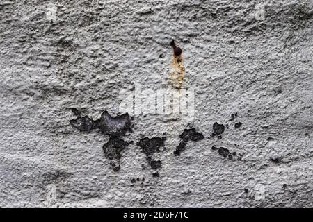 Detailed close up view on aged concrete walls with cracks and lots of structured details Stock Photo