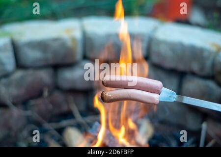 two dot dogs roasted in front of a camp fire Stock Photo