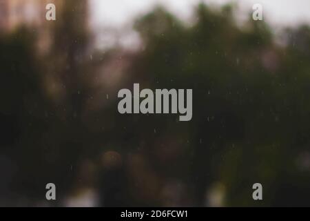 raindrops falling against trees on Madrid Stock Photo