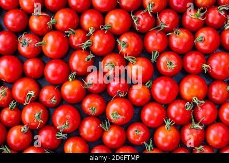 Closeup of a tray of ripe cherry tomatoes from a garden in Winkler, Manitoba, Canada. Stock Photo