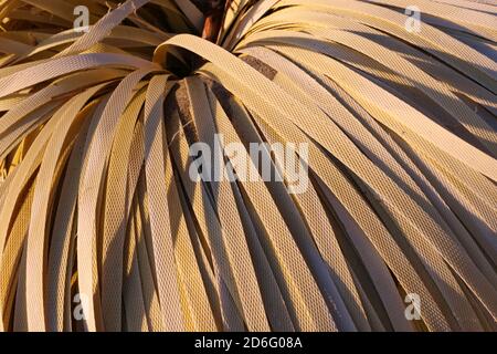 A bundle of yellow packing ties Stock Photo