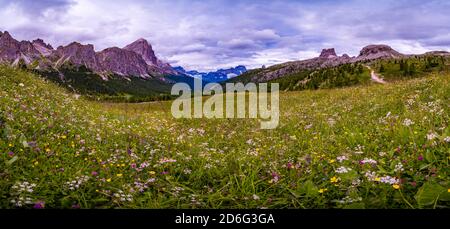 Panoramic view of the rock formations Tofane and Cinque Torri, located at Falzarego pass, Passo Falzarego, seen across green pastures. Stock Photo