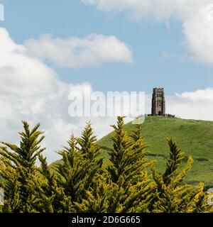 St. Michael's Tower on Glastonbury Tor reigns over the township of Glastonbury. Tower photographed to the right. Trees in foreground. Copy space. Stock Photo