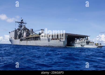 (PHILIPPINE SEA Oct. 4, 2020) Patrol Boat (PB) Mk VI 1206 assigned to Maritime Expeditionary Security Squadron 3 prepares to board amphibious dock landing ship USS Comstock (LSD 45) in preparation for PB Mk VI integration. Maritime Expeditionary Security Force and Explosive Ordnance Disposal Mobile Unit Sailors assigned to Commander, Task Force 75 (CTF 75) embarked and are conducting integrated littoral maritime security operations from the amphibious dock landing ship USS Comstock (LSD 45) with the Marines and Sailors already deployed as Task Force Ellis from I Marine Expeditionary Force. PB Stock Photo