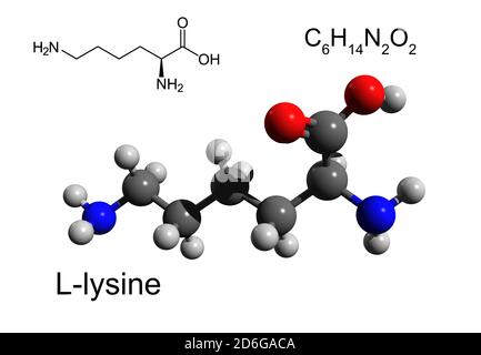 Chemical formula, structural formula and 3D ball-and-stick model of L-lysine, an essential amino acid, white background Stock Photo