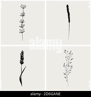 Logo branch. Hand drawn wedding herb. Plant and leaves for invitation card design. Botanical rustic trendy greenery vector illustration. . Vector illustration Stock Vector