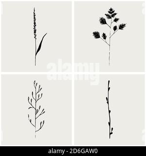 Floral sketch. Vector hand drawn collection of cosmetics herbs and plants. . Vector illustration Stock Vector