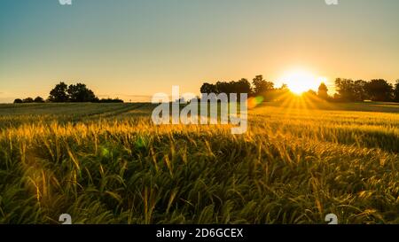 Germany, Stuttgart, Magical orange sunset sky above ripe grain field nature landscape in summer Stock Photo