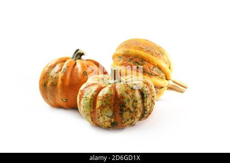 Food pumpkin or squash in the varieties Butter Cream and Kamo-Kamo isolated on a white background, selected focus, narrow depth of field Stock Photo