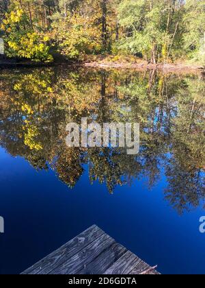 wooden dock in foreground of reflected forest in lake Stock Photo