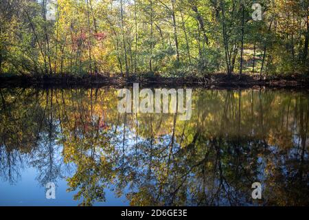 Gorgeous autumn colors reflected on a calm lake under a blue sky. Stock Photo