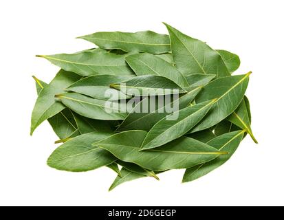 Fresh bay leaves isolated on white background Stock Photo