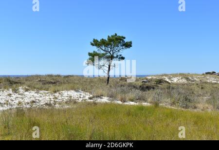 Famous Carnota Beach or Playa de Carnota, the largest galician beach at famous Rias Baixas region. Coruña Province, Galicia, Spain. Stock Photo