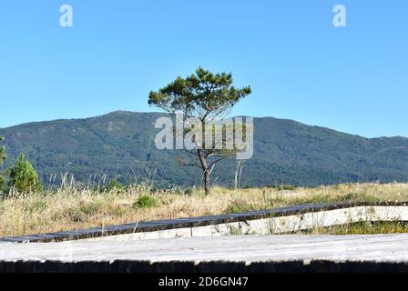 Famous Carnota Beach or Playa de Carnota, the largest galician beach at famous Rias Baixas region. Coruña Province, Galicia, Spain. Stock Photo