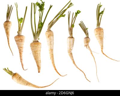 set of raw parsley roots isolated on white background Stock Photo