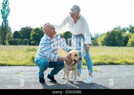 happy senior couple play with labrador retriever dog in sunny summer park Stock Photo