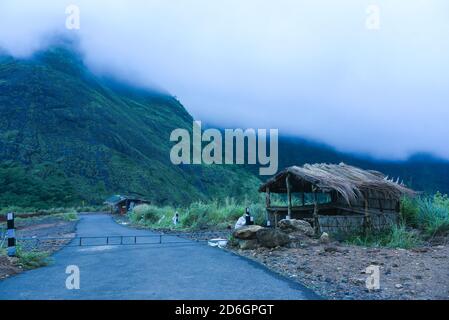 Lush green peak of mountain above foggy valley at Munnar Idukki Thekkady Kerala India. major Indian tourist attraction spot. Kerala tourism Stock Photo