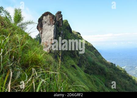 Lush green peak of mountain above foggy valley at Munnar Idukki Thekkady Kerala India. major Indian tourist attraction spot. Kerala tourism Stock Photo